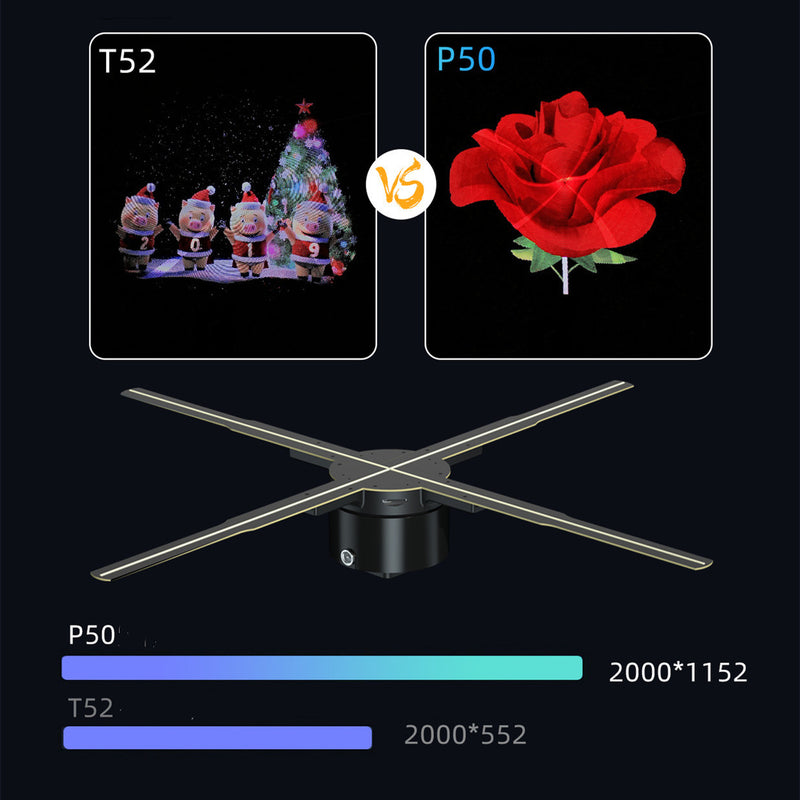 Haven And Hue | LED Fan Display Wall Hanging