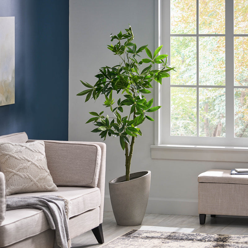 Haven And Hue | Artificial Pachira Tree Decoration