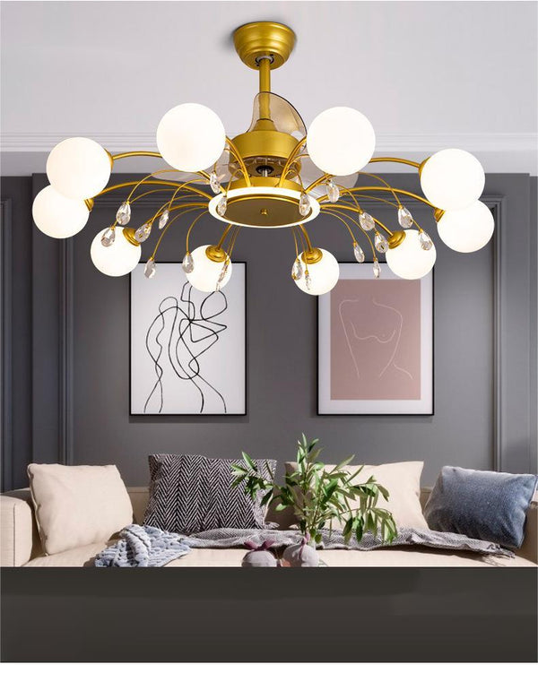 Haven And Hue | Creative Ceiling Fan Light Decor
