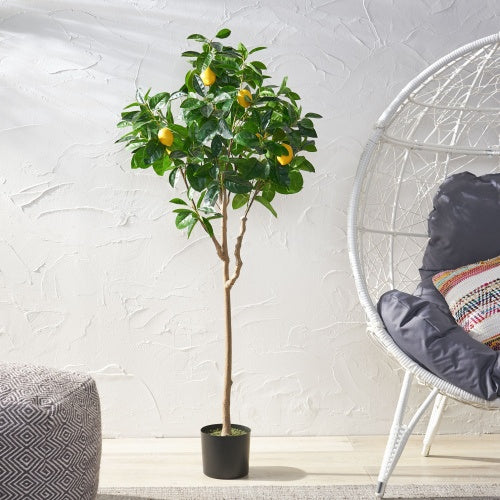 Haven And Hue | Artificial Lemon Tree Home Decor