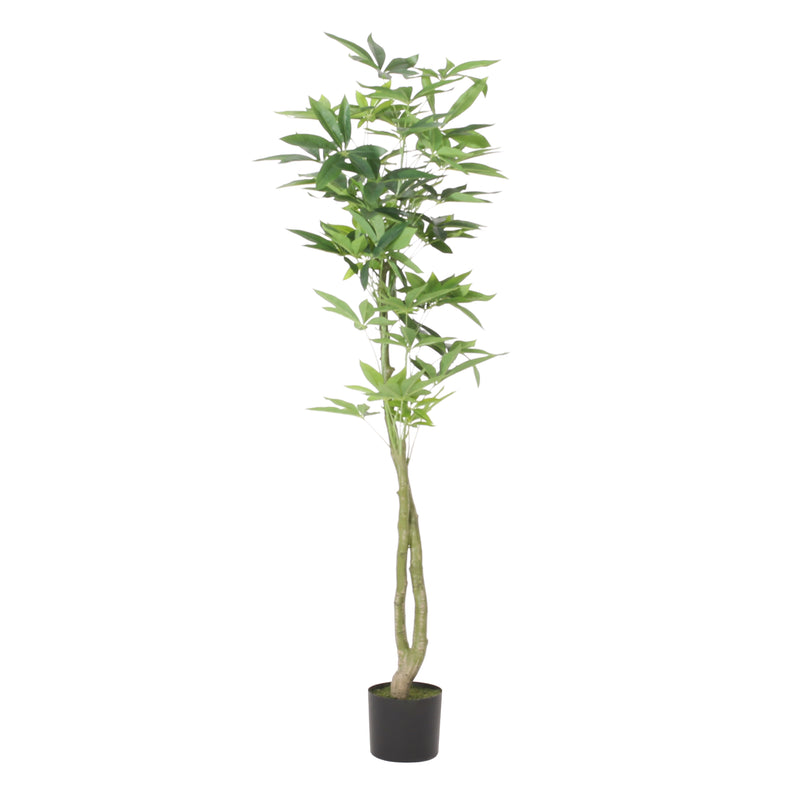 Haven And Hue | Artificial Pachira Tree Decoration