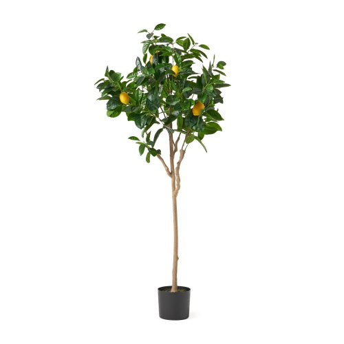 Haven And Hue | Artificial Lemon Tree Home Decor