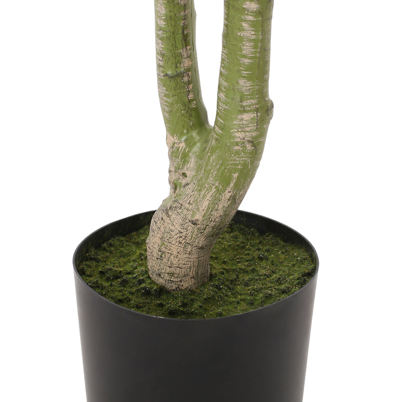 Haven And Hue | Artificial Pachira Tree Decoration