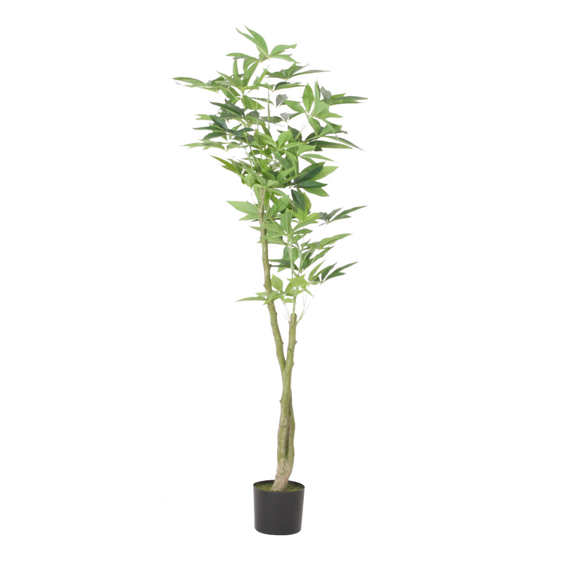Haven And Hue | Artificial Pachira Tree Decoration
